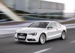 Audi A5 Coupe 3.0 TDI Quattro 2011 года (WW)